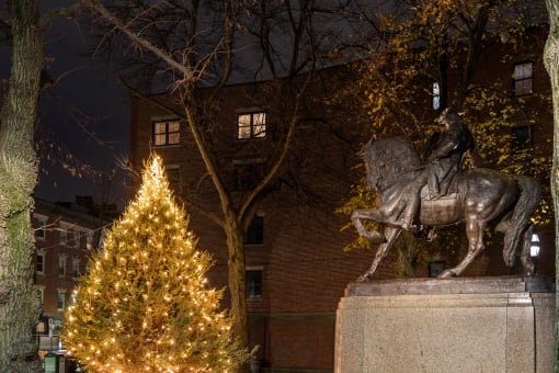 a christmas tree is lit up next to a statue of a man on a horse