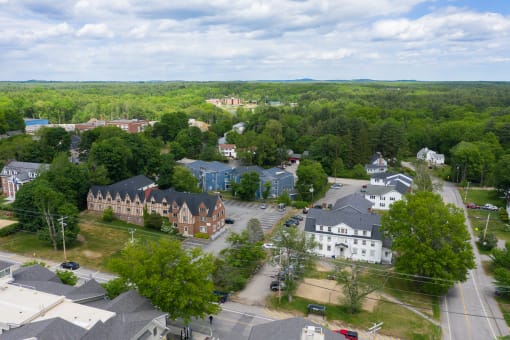 arial view of a small town with trees and buildings