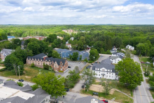 arial view of a small town with trees and buildings