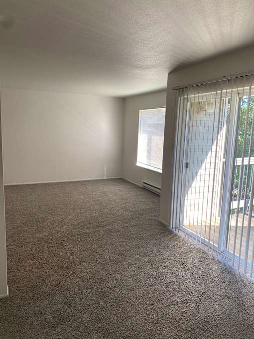 A white wall with a skylight above it.