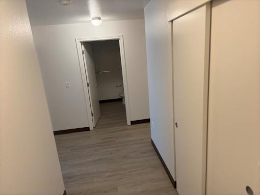 A hallway with a door on the right and a closet in the middle.