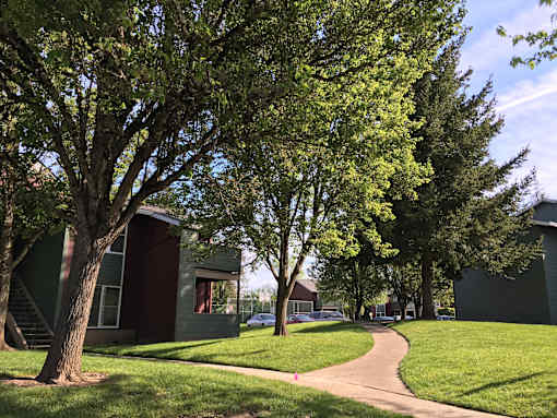 A tree in a grassy area with a house in the background.