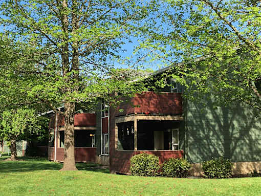A tree stands in front of a two-story house.
