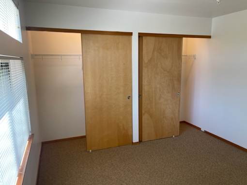 Two wooden doors in a room with carpeted floor.
