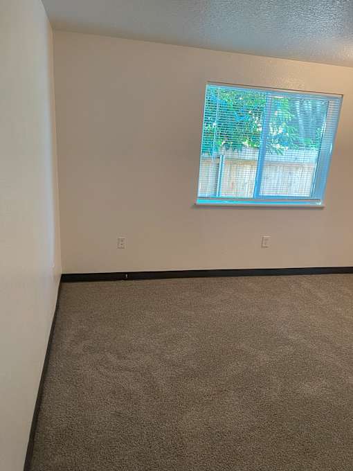A room with a window and carpeted floor.