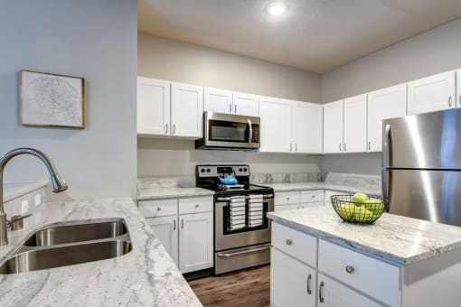 our apartments have a modern kitchen with stainless steel appliances