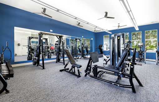 A gym with a variety of equipment including a squat rack, bench, and weights.