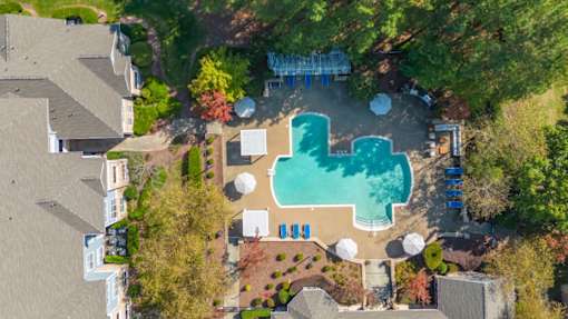 An aerial view of a swimming pool surrounded by trees and houses.
