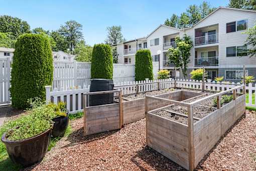 a community garden with raised beds and a white fence at Sage Apartments, Everett, 98204