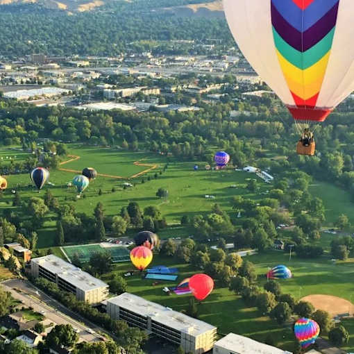 A group of hot air balloons of various colors float over a green landscape.