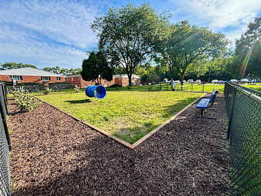 A park with a blue exercise ball in the middle of a grassy area.