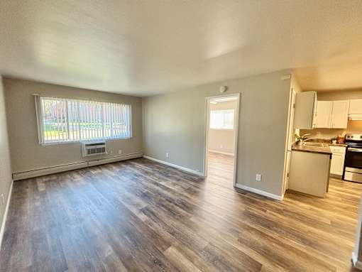 A room with a window and a kitchen area in the background.