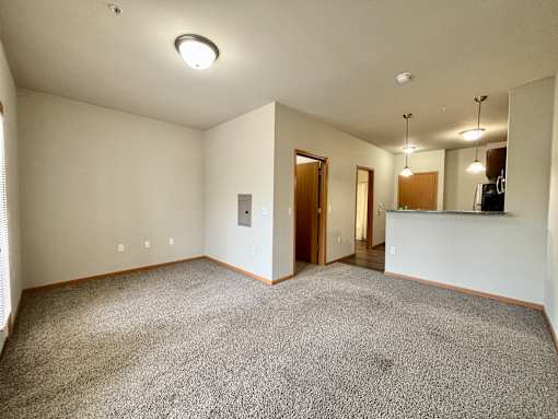 A spacious room with a carpeted floor and a bar area.