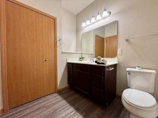 A bathroom with a wooden door, a white toilet, a mirror, and a vanity with a plant on top.