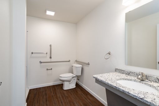a bathroom with a toilet and a sink and a mirror