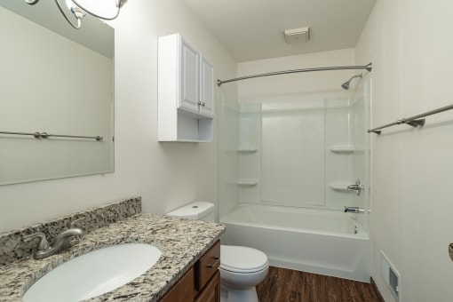 a bathroom with a sink and a shower and a toilet