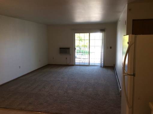A large empty room with a carpeted floor and a sliding glass door leading outside.