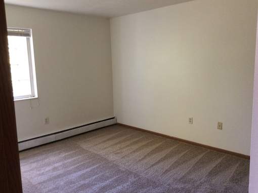 A room with a carpeted floor and a window.