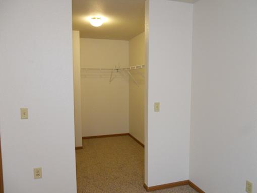A white wall with a light switch and a brown carpet.