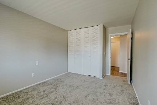 A room with a carpeted floor and a white closet with a door open.