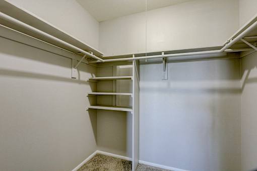 A white closet with shelves and a carpeted floor.