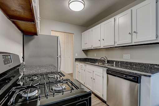 A kitchen with a black stove top oven and a dishwasher.