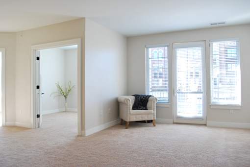 A room with a chair and a plant in it.