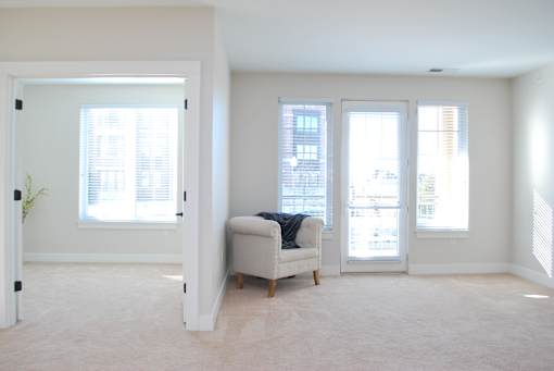 A living room with a couch and a plant.