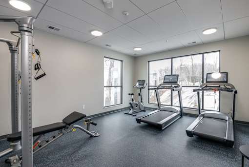A gym with treadmills, a weight bench, and a squat rack.