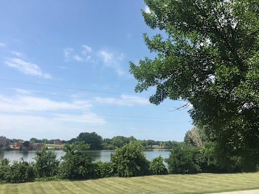 A tree is in the foreground of a grassy field with a lake and buildings in the background.