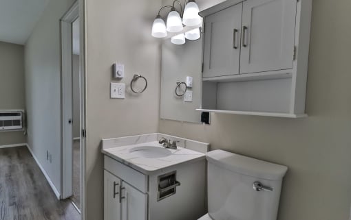 a bathroom with a sink and a mirror and a toilet