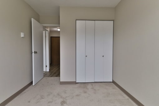 a bedroom with two closets and a carpeted floor