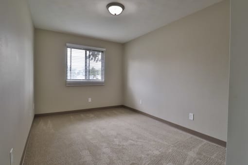 an empty living room with carpet and a window