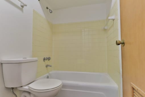 a bathroom with a toilet and a bath tub