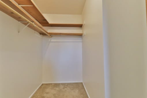 A huge closet with a carpeted floor and wooden beams on the ceiling.