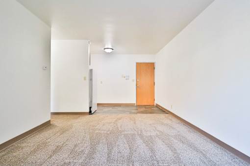 A carpeted hallway with a white door and a brown door.