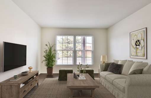A living room with a couch, a coffee table, a television, and a potted plant.