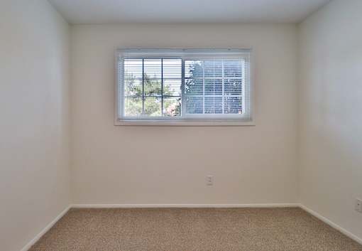 A room with a window and a carpeted floor.
