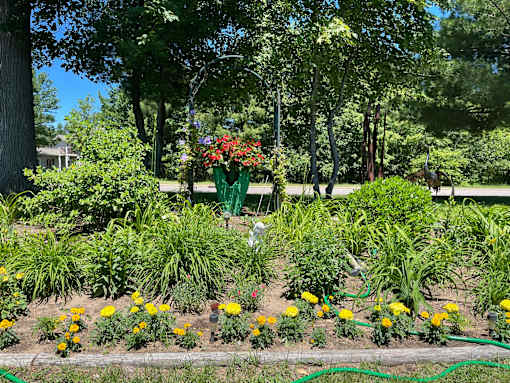 A garden with a variety of plants and flowers.