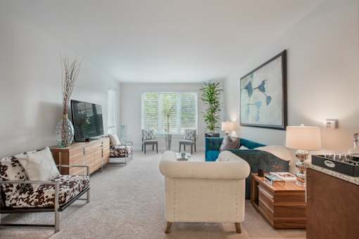 A living room with a white sofa and a television.
