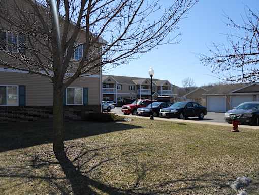 A tree in front of a building with cars parked in the background.