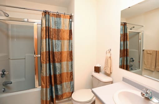 A bathroom with a toilet, sink, and shower.