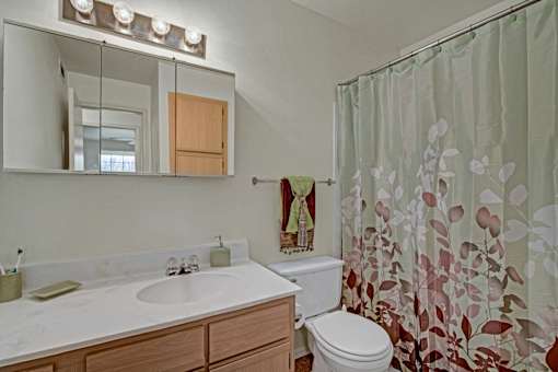 A bathroom with a sink, mirror, toilet and shower curtain.