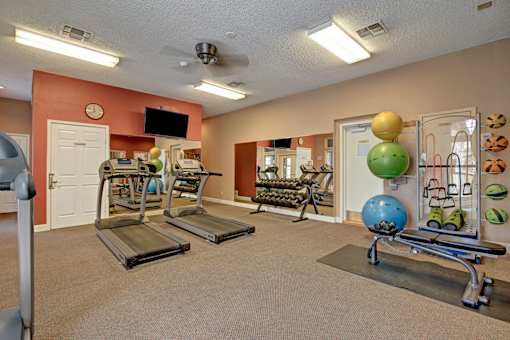 A gym with treadmills, weights, and exercise equipment.
