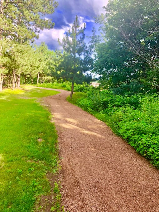 A dirt path winds through a grassy area with trees on either side.