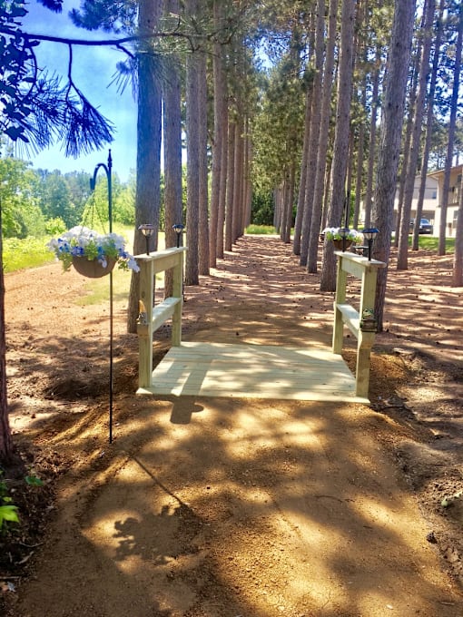 A swing hanging from a tree in a forest.