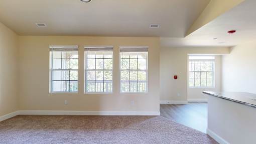 A room with a carpeted floor and three windows.