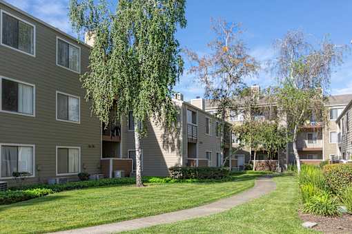 Charming exterior of California Place apartments with grass lined walkways and lush greenery, providing a beautiful and serene living experience!