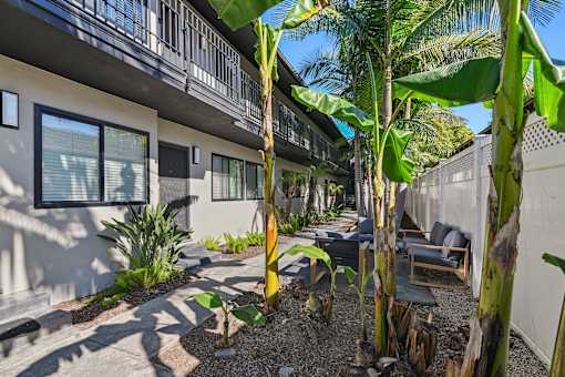 A patio area with a table and chairs surrounded by banana trees.