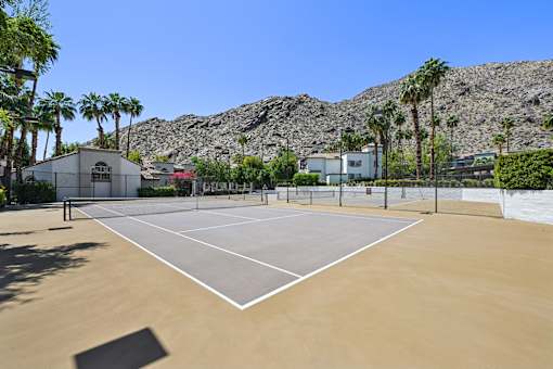 A tennis court surrounded by palm trees and houses.